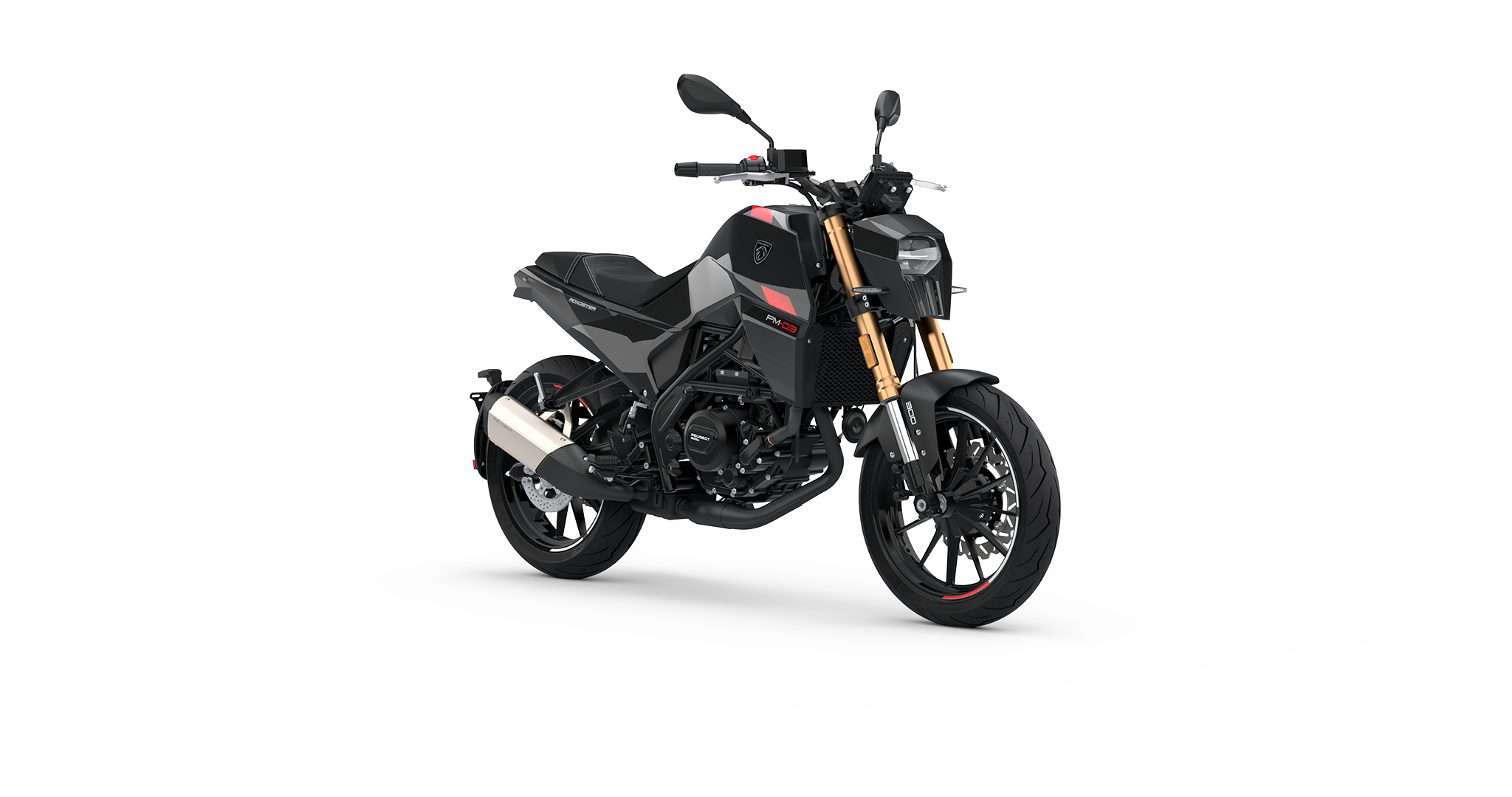 PM-03 300 CC